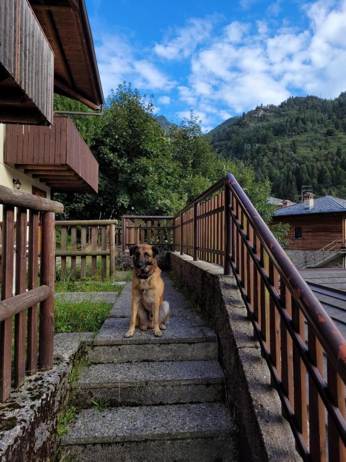 Casa Ettore Lizzola Alta Eksteriør billede